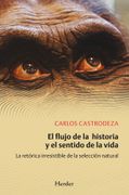 El Flujo de la Historia y el Sentido de la Vida