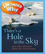 i wonder why there's a hole in the sky: and other questions about the environment