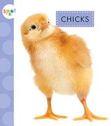 Chicks (Spot Baby Farm Animals) (en Inglés)