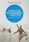 Effective Management in Practice: Analytical Insights and Critical Questions (en Inglés)