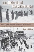 The Retreats of Reconstruction: Race, Leisure, and the Politics of Segregation at the New Jersey Shore, 1865-1920 (Reconstructing America)