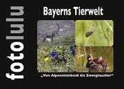 Bayerns Tierwelt von Alpensteinbock bis Zwergtaucher (en Alemán)