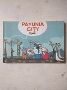 Payunia city
