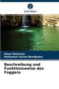 Beschreibung und Funktionsweise des Foggara (en Alemán)