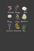 Orchids Tulips Rose Daisy Lilac Jasmine Lavender Calendula Aloe: Vintage Botanical Flowers Gardener Gift (en Inglés)