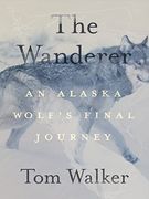 The Wanderer: An Alaska Wolf’S Final Journey (en Inglés)