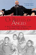 of beetles & angels,a boy´s remarkable journey from a refugee camp to harvard (en Inglés)