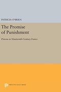 The Promise of Punishment: Prisons in Nineteenth-Century France (Princeton Legacy Library)