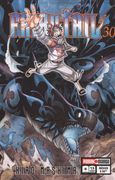 Fairy Tail #30