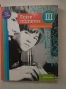 Entre Numeros 3 Santillana (Actividades de Matematica) (Novedad 2017)