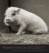Allowed to Grow Old: Portraits of Elderly Animals From Farm Sanctuaries (en Inglés)