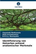 Identifizierung von Holzarten anhand anatomischer Merkmale (en Alemán)