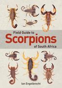 Field Guide to Scorpions of South Africa (en Inglés)