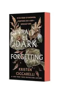 A Dark Forgetting. A Novel
