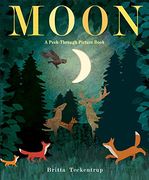 Moon: A Peek-Through Picture Book (en Inglés)