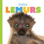 Baby Lemurs (en Inglés)