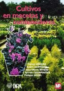 cultivo en macetas y contenedores
