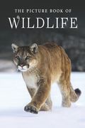 The Picture Book of Wildlife: A Gift Book for Alzheimer's Patients and Seniors with Dementia (en Inglés)