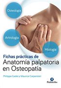 Fichas Prácticas De Anatomía Palpatoria En Osteopatía