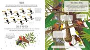Birds of the World Activity Book (en Inglés)