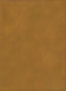 Rvr 1960 Biblia Ilustrada de la Tierra Santa, Cafã© Sã­Mil Piel / rvr 1960 Holy Land Study Bible, Brown Leathertouch (Spanish Edition) [no Binding ] (in Spanish)