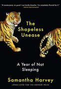 The Shapeless Unease: A Year of not Sleeping 