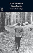 Sin Salvación: Tras las Huellas de Heidegger
