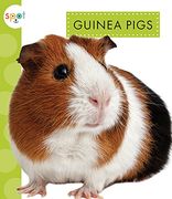 Guinea Pigs (Spot Pets) (en Inglés)