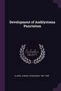 Development of Amblystoma Punctatum (en Inglés)