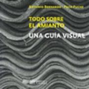Todo Sobre el Amianto: Una Guia Visual