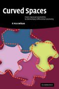 Curved Spaces Hardback: From Classical Geometries to Elementary Differential Geometry (en Inglés)