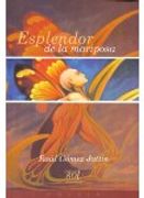 ESPLENDOR DE LA MARIPOSA