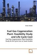 fuel gas cogeneration plant: feasibility study and life cycle cost (en Inglés)