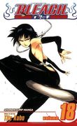bleach 18