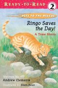 ringo saves the day!,a true story
