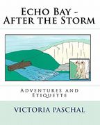 echo bay - after the storm (en Inglés)