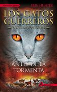 Antes de la Tormenta / Rising Storm (in Spanish)