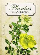 Plantas que Curan - Luis Tomas Melgar - Libsa