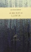 Lo que dejó la lluvia (Poesía)