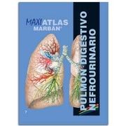 Maxi Atlas 7 Pulmón Digestivo Nefrourinario (38 cm x 29 cm)