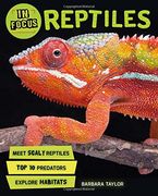 In Focus: Reptiles