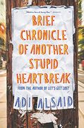 Brief Chronicle of Another Stupid Heartbreak (en Inglés)