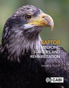 Raptor Medicine, Surgery and Rehabilitation (en Inglés)