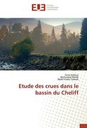 Etude des Crues Dans le Bassin du Cheliff (en Francés)