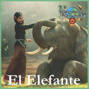 El Elefante: Mi Pequeño Gran Mundo Animal