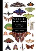 Moths of the World: A Natural History (en Inglés)