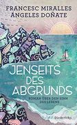 Jenseits des Abgrunds: Roman Über den Sinn des Lebens (in German)