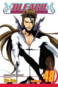 bleach volume 48
