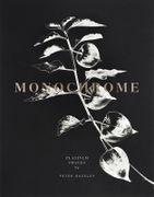 Monochrome: Platinum Images