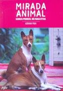 Mirada Animal